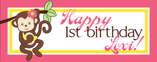 Lexi's Birthday banner