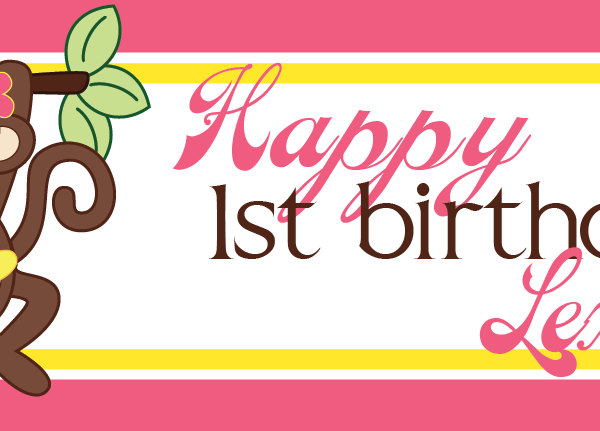 Lexi's Birthday banner